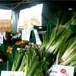 VERDURAS