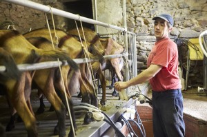 Gastroeconomy_5TendenciasGastrosector_Formatgeria del Montseny