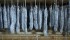 Gastroeconomy_Genuinus_Longaniza_Granja Godall2