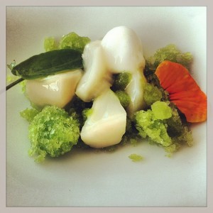 Gastroeconomy_Culler de Pau_2013_Guisantes vieiras