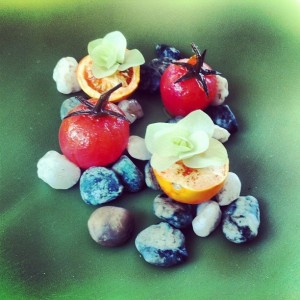 Gastroeconomy_QuiqueDacosta_2013_Snacks_Tomate encurtido