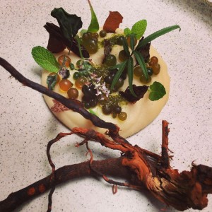 Gastroeconomy_VirgilioMartinez_Central