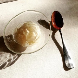 Gastroeconomy_Mugaritz2015_4
