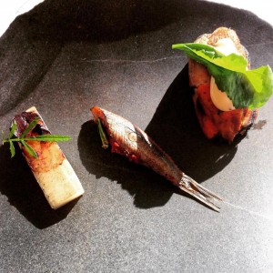 Gastroeconomy_Mugaritz2015_9